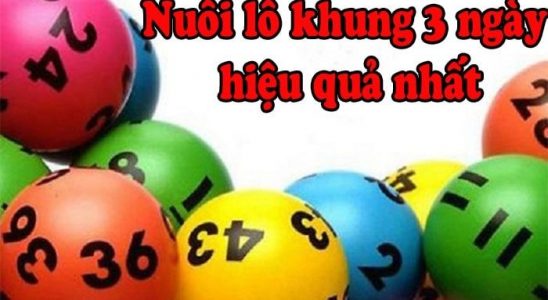 Cách phân bố vốn nuôi lô 3 ngày hiệu quả