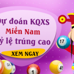 giải 8 xs víp mn hôm nay